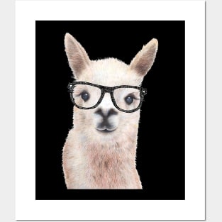 Hipster Llama Wearing Glasses Funny Drawing Posters and Art